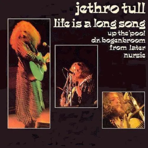 Life Is A Long Song