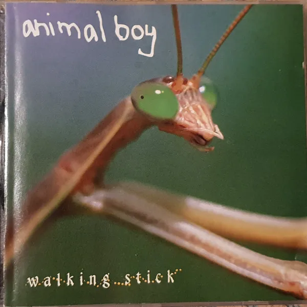 Walking Stick