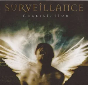 Surveillance