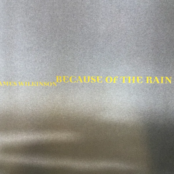 Because Of The Rain