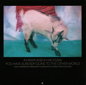 You Have Already Gone To The Other World