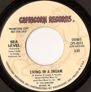 Living In A Dream