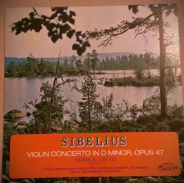 Violin Concerto In D Minor
