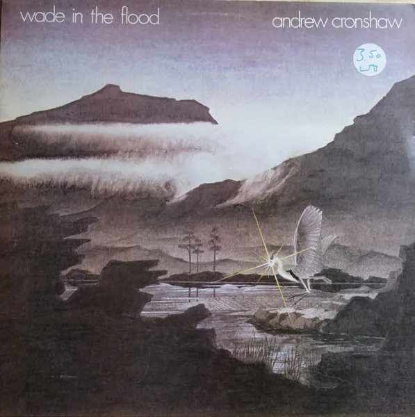 Wade In The Flood