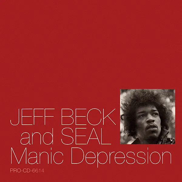 Manic Depression