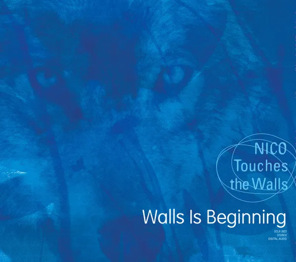 Walls Is Beginning
