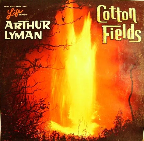 Cotton Fields