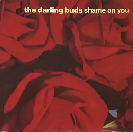 Shame On You