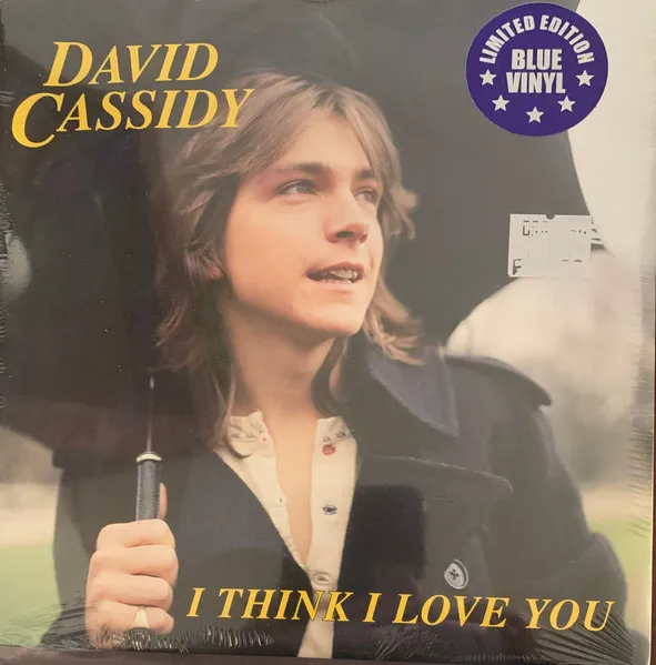 I Think I Love You