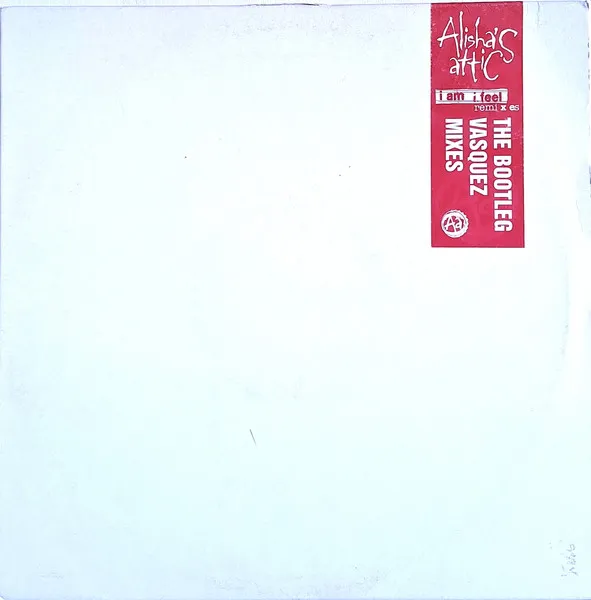 I Am I Feel (Remixes) (The Bootleg Vasquez Mixes)