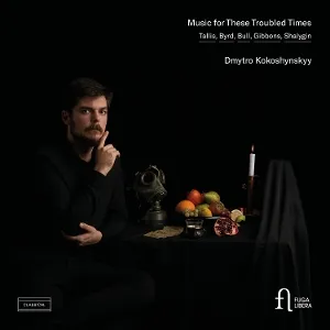 Dmytro Kokoshynskyy - Music for these troubled Times