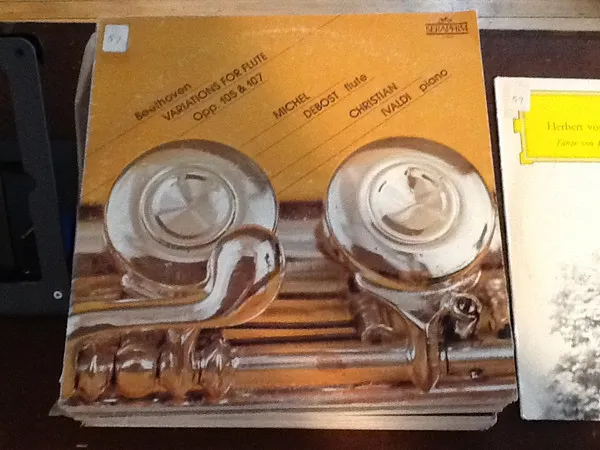 Variations For Flute Opp. 105 & 107
