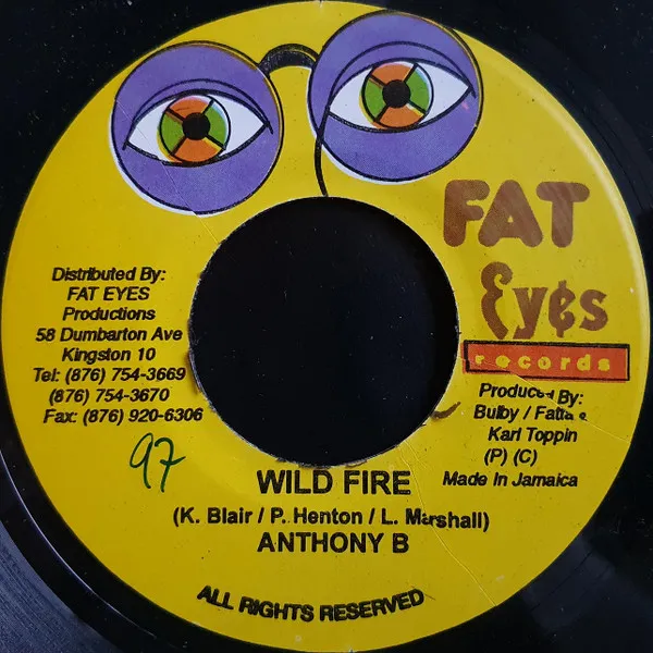 Wild Fire / Never See Mi Done