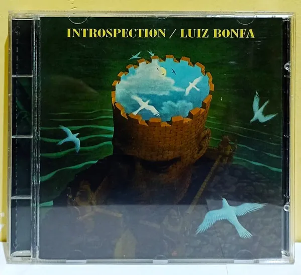 Introspection