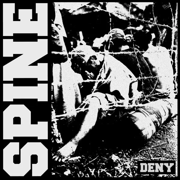 Spine