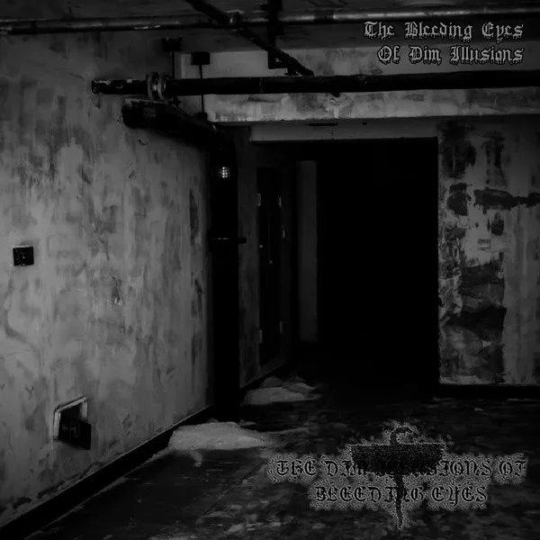 The Bleeding Eyes Of Dim Illusions