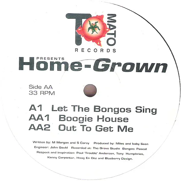 Let The Bongos Sing