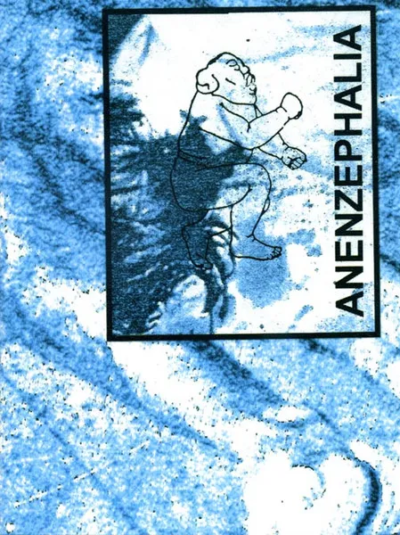 Live Festival Karlsruhe 8.10.1993