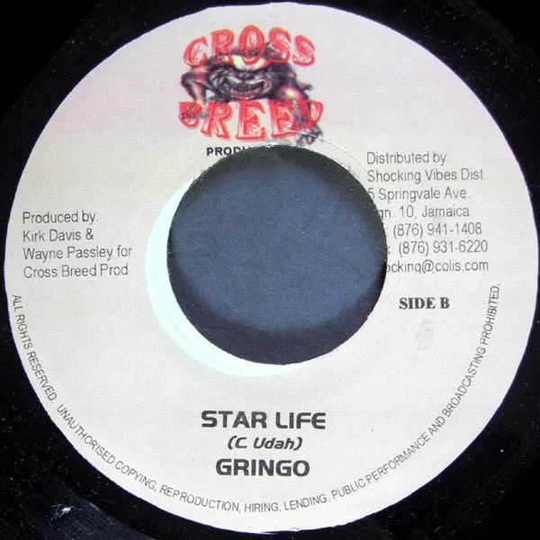 Hands Up High / Star Life