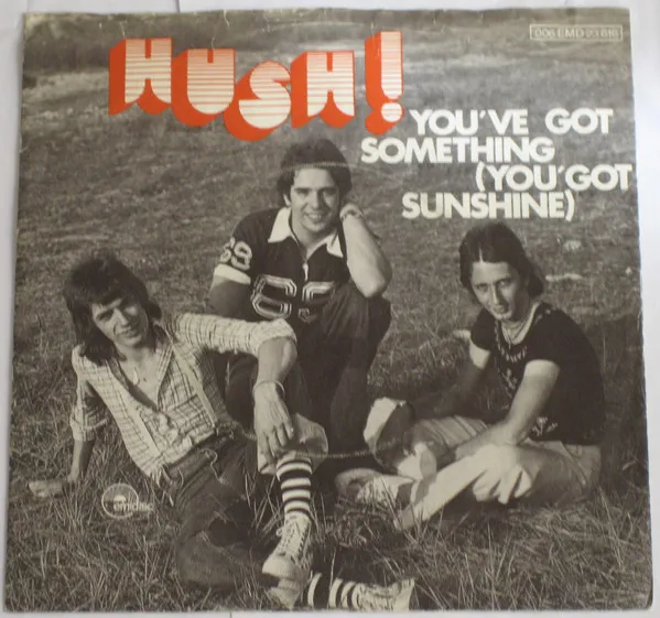 You've Got Something (You Got Sunshine)