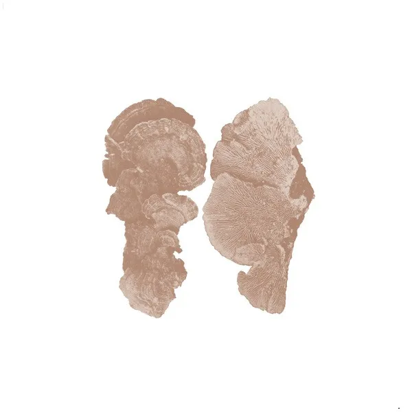 Tankar & Syner Del II