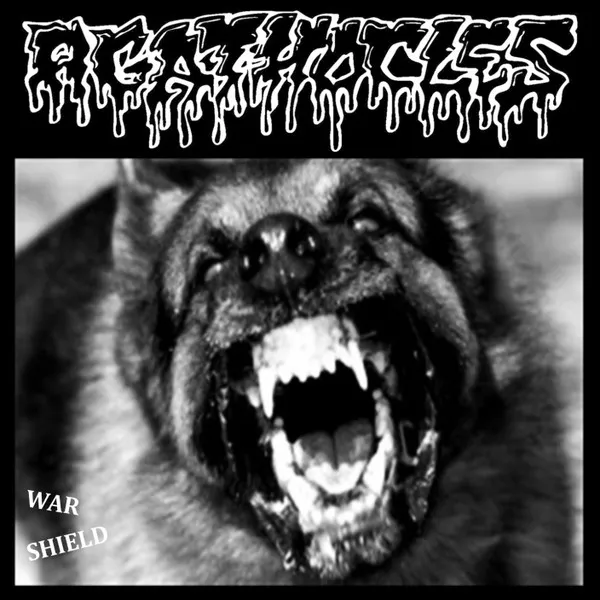 War Shield / Untitled