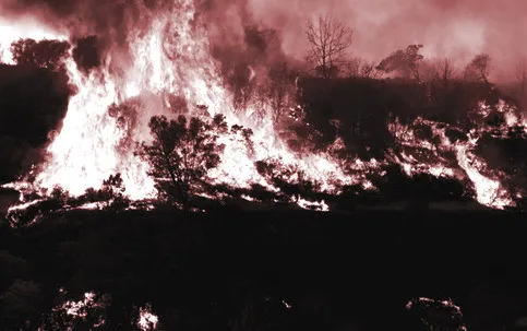 Amarok / Hell