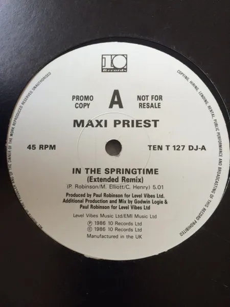 In The Springtime (Extended Remix)