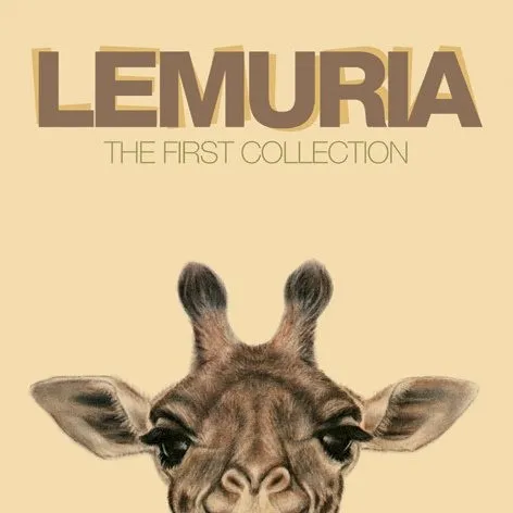 The First Collection