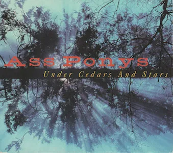 Under Cedars And Stars