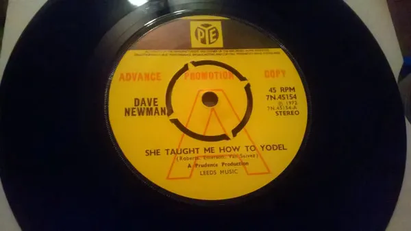She Taught Me How To Yodel