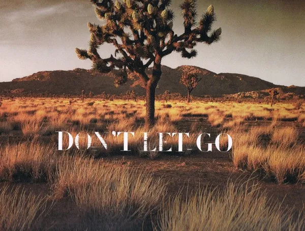 Don't Let Go