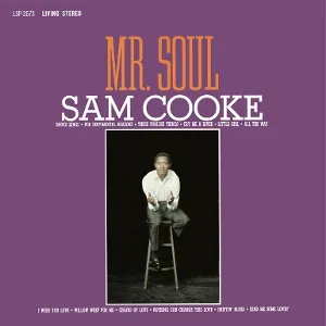 Mr. Soul