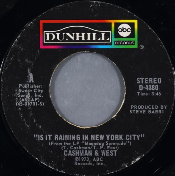 Is It Raining In New York City