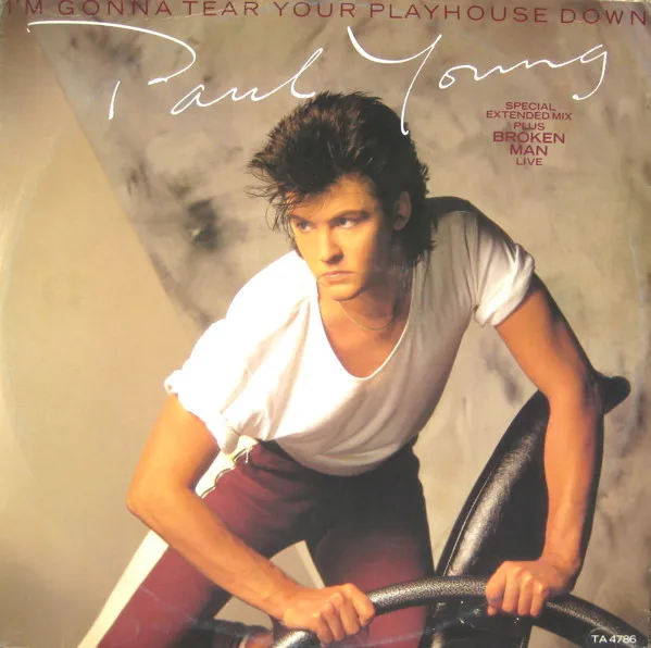 I'm Gonna Tear Your Playhouse Down (Special Extended Mix)