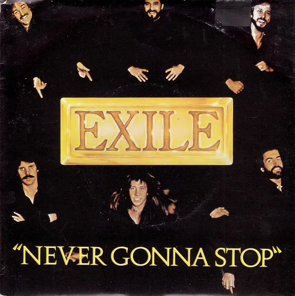 Never Gonna Stop