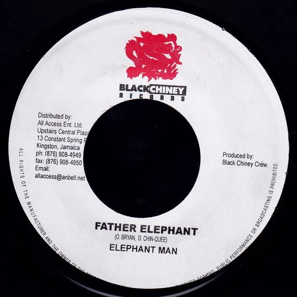 Father Elephant