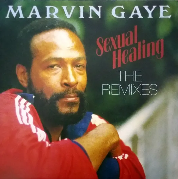 Sexual Healing - The Remixes
