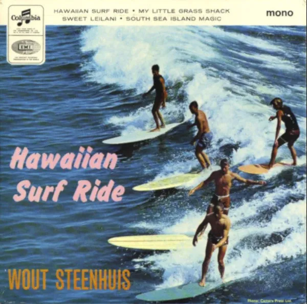Hawaiian Surf Ride
