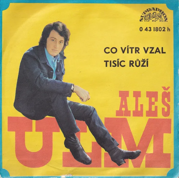 Co Vítr Vzal / Tisíc Růží