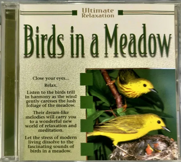 Birds In A Meadow