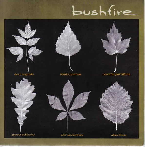 Bushfire