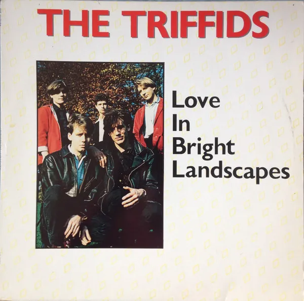 Love In Bright Landscapes