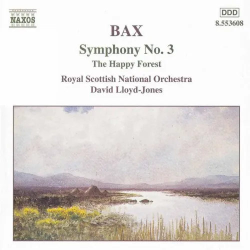 Symphony No.3, The Happy Forest