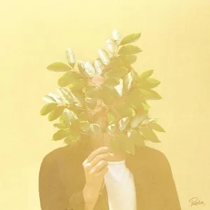 French Kiwi Juice