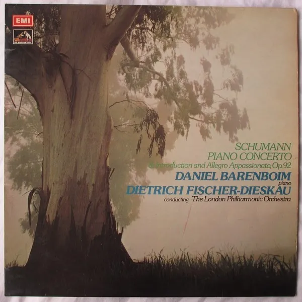Piano Concerto / Introduction And Allegro Appassionata, Op. 92