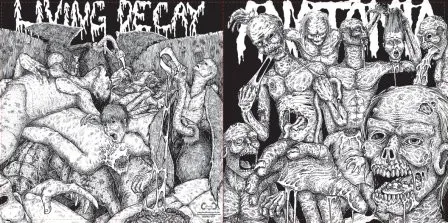 Anatomia / Living Decay