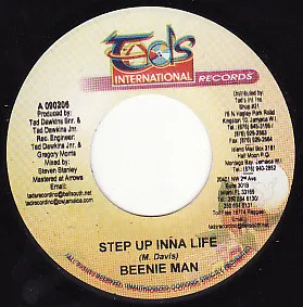 Step Up Inna Life