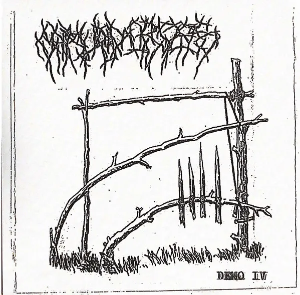Demo IV