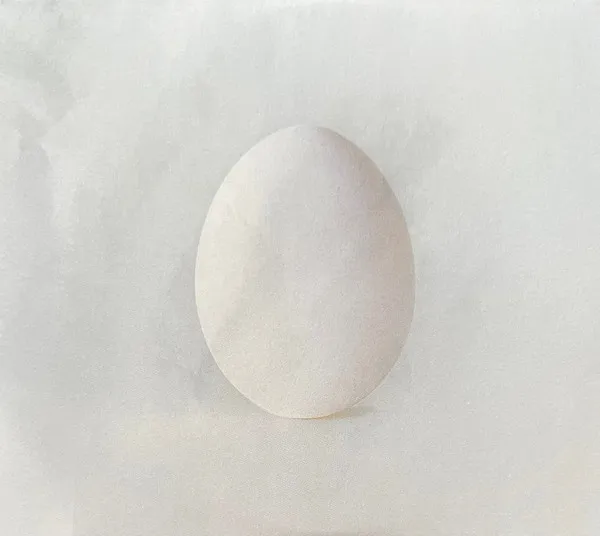 A GHOST IS BORN
